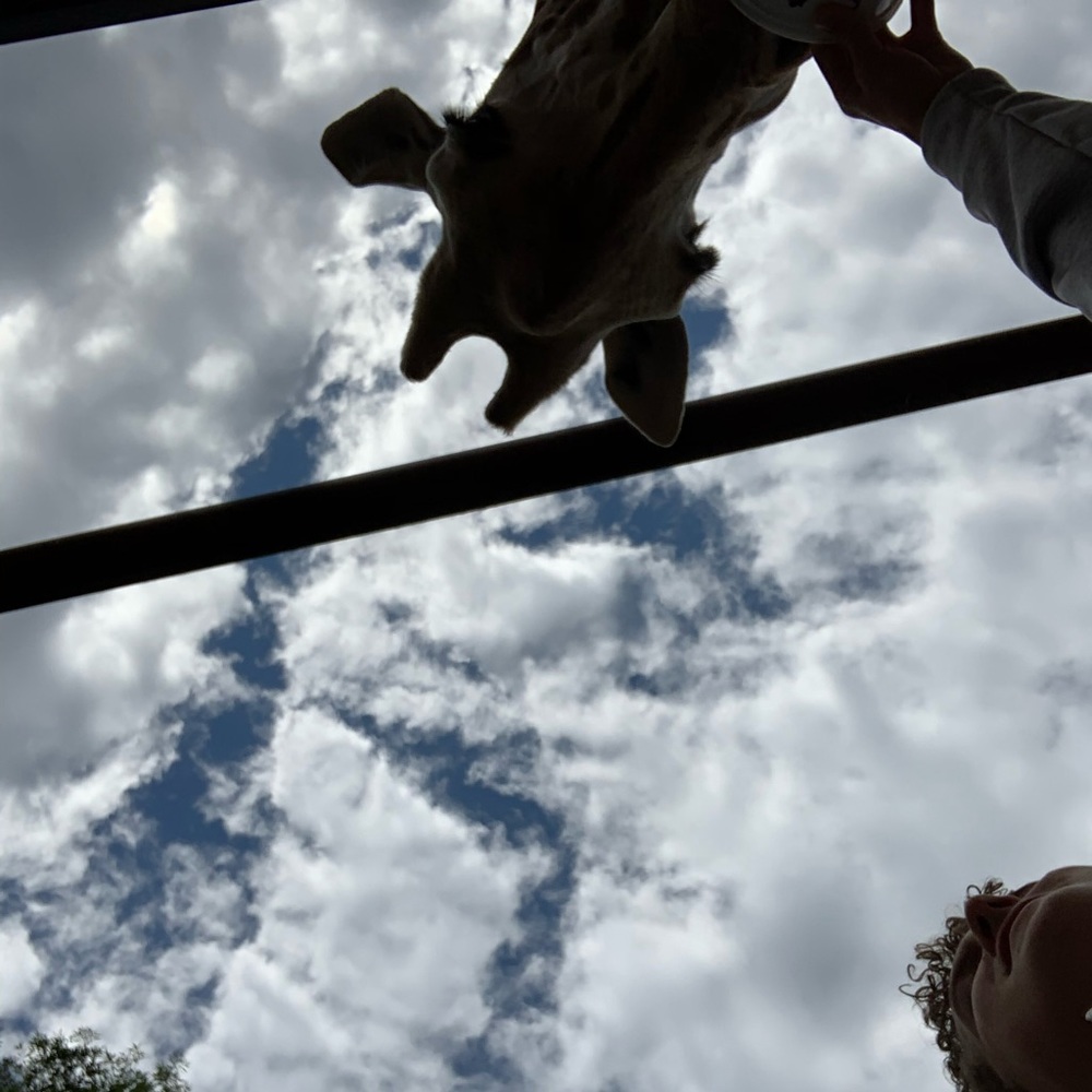 Meet your Posher, Grace